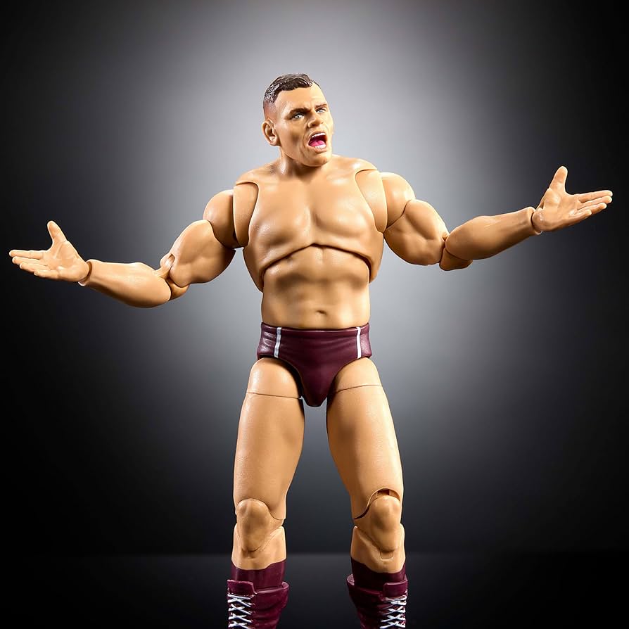 Amazon.com: Mattel WWE Ultimate Edition Action Figure